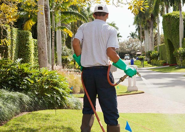 About Hooper UT Pest Control